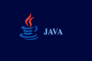 JAVA